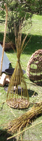 weaving willow basketry